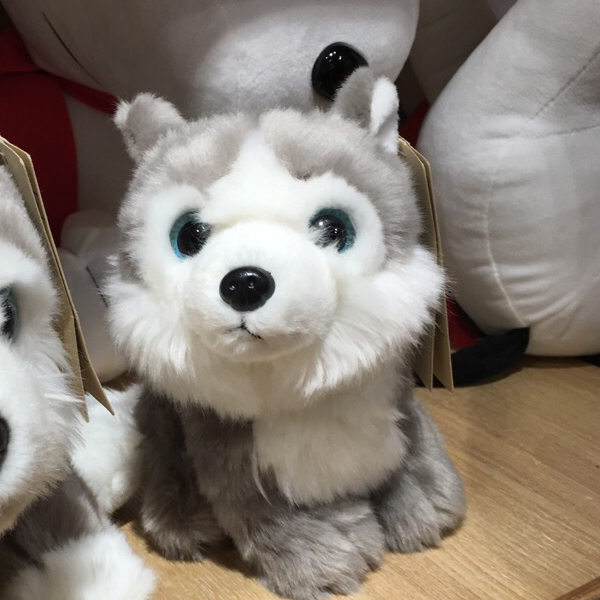 法國之光